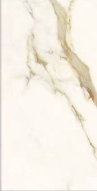 Time Dorado Polished 12 x 24